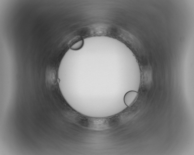 X0000113090709200908281007