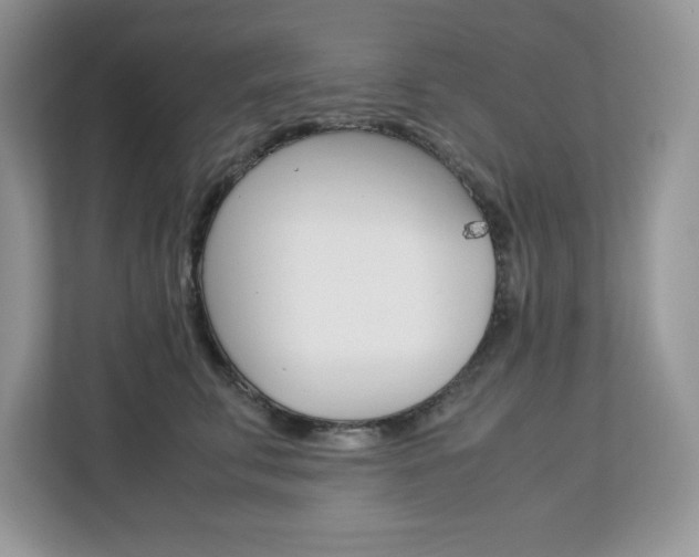 X0000113090711200908281007