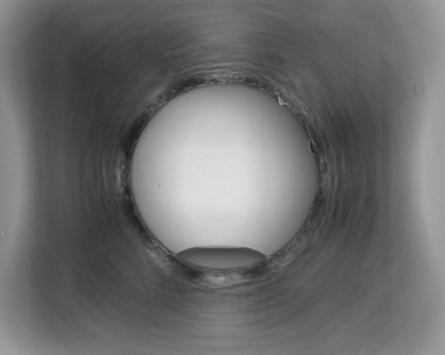 X0000113090712200908281007