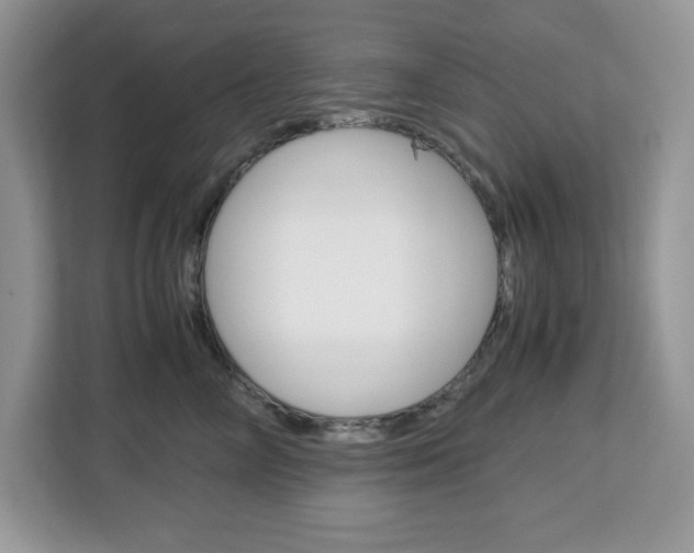 X0000113090714200908281007