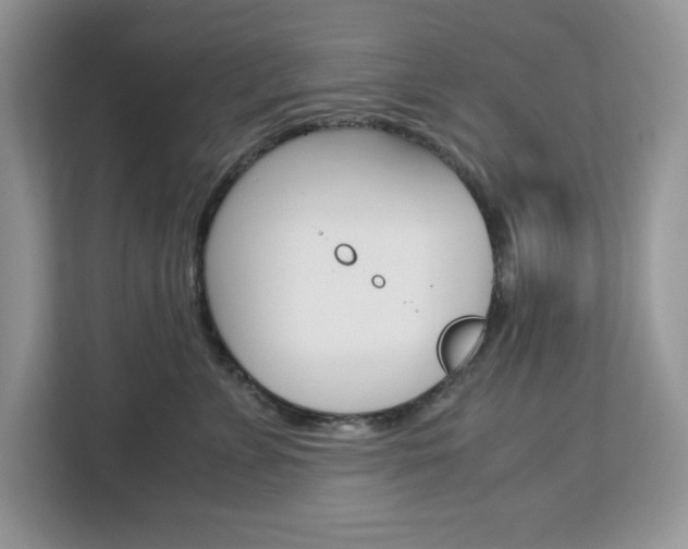 X0000113090715200908281007