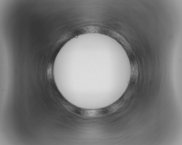 X0000113090717200908281007