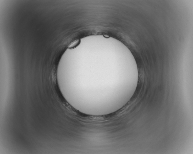 X0000113090719200908281007