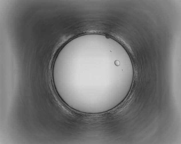 X0000113090721200908281006