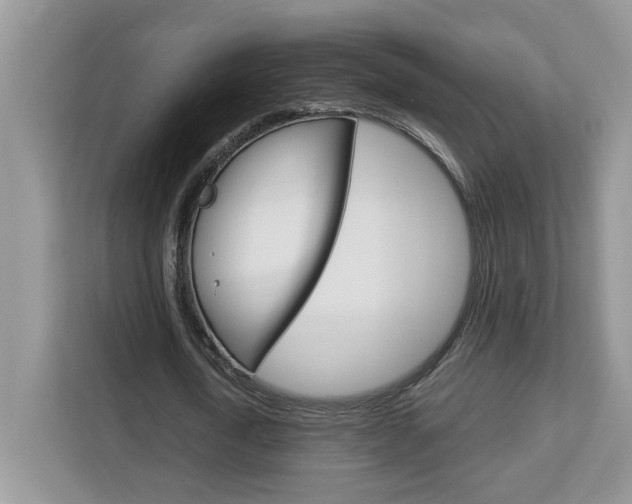 X0000113090722200908281007
