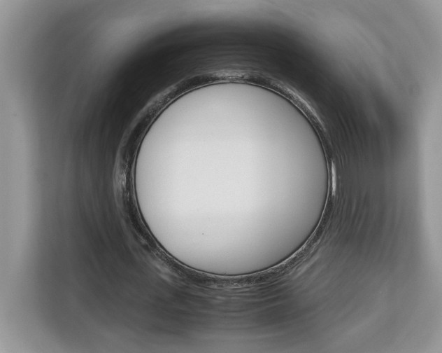 X0000113090723200908281007