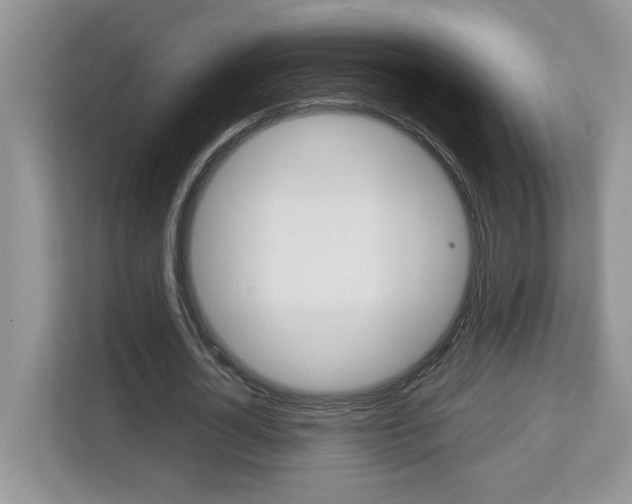 X0000113090724200908281007