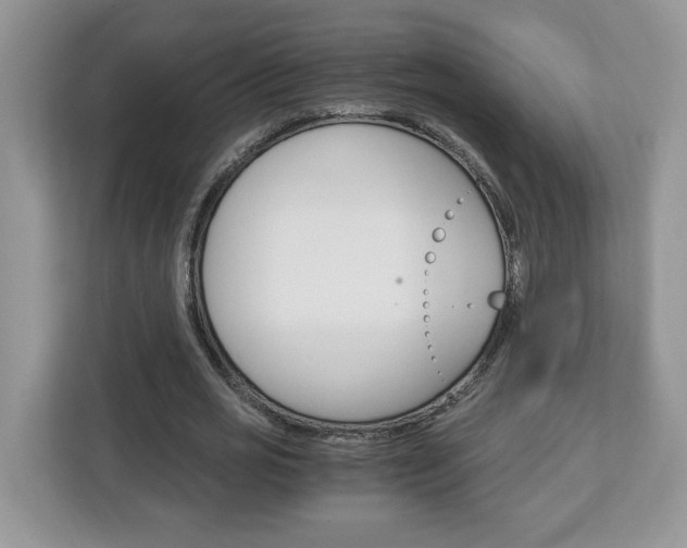 X0000113090725200908281007