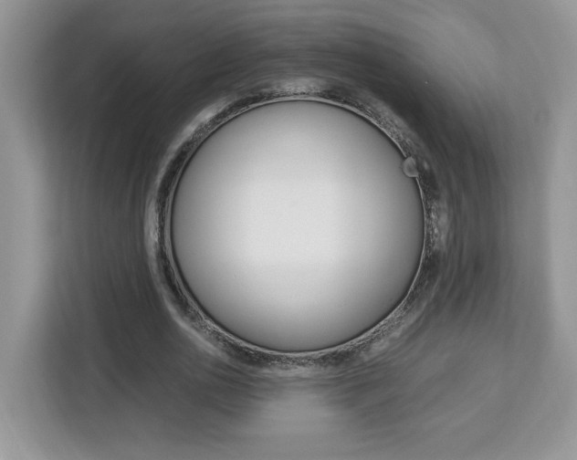 X0000113090726200908281007