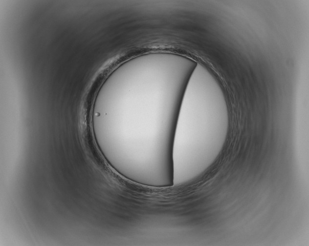 X0000113090727200908281007