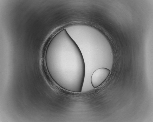 X0000113090728200908281007