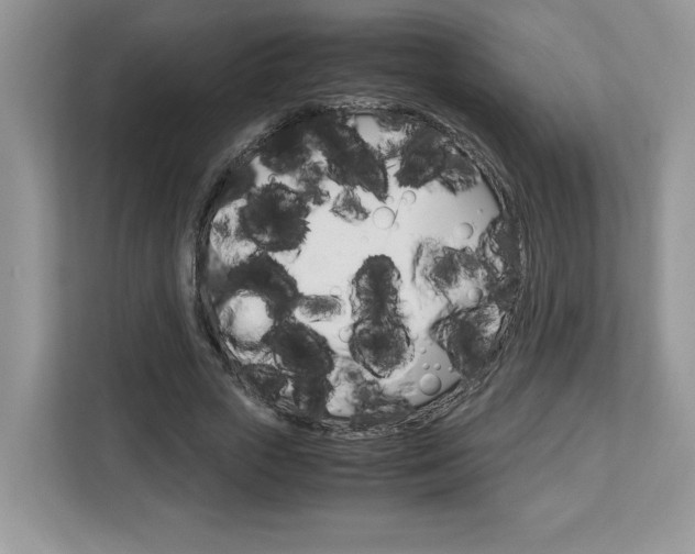X0000113090729200908281007