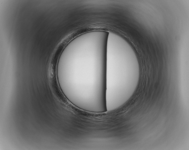 X0000113090731200908281007