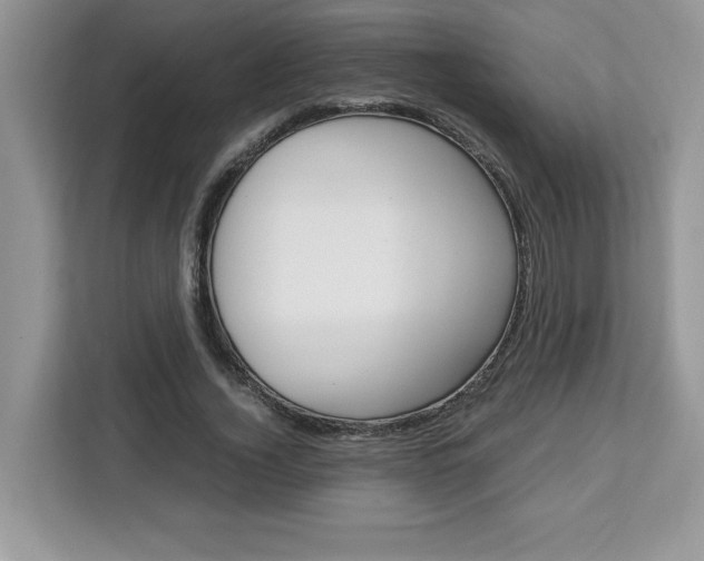 X0000113090732200908281007