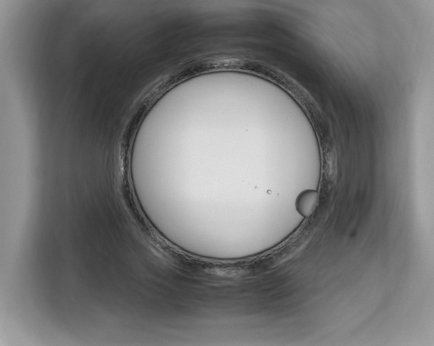 X0000113090733200908281007