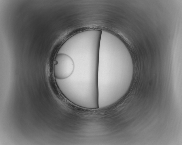 X0000113090734200908281007