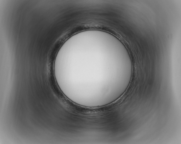 X0000113090735200908281007