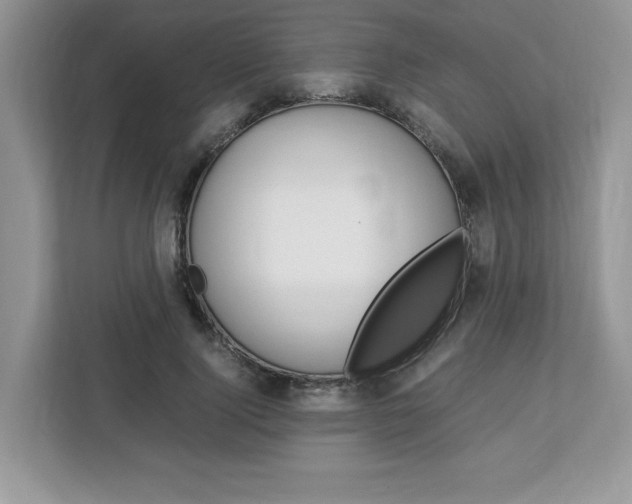 X0000113090740200908281007