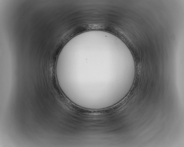 X0000113090741200908281007