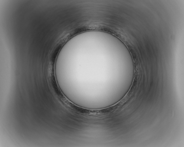 X0000113090744200908281007