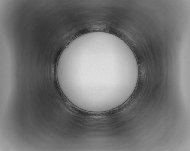 X0000113090745200908281007