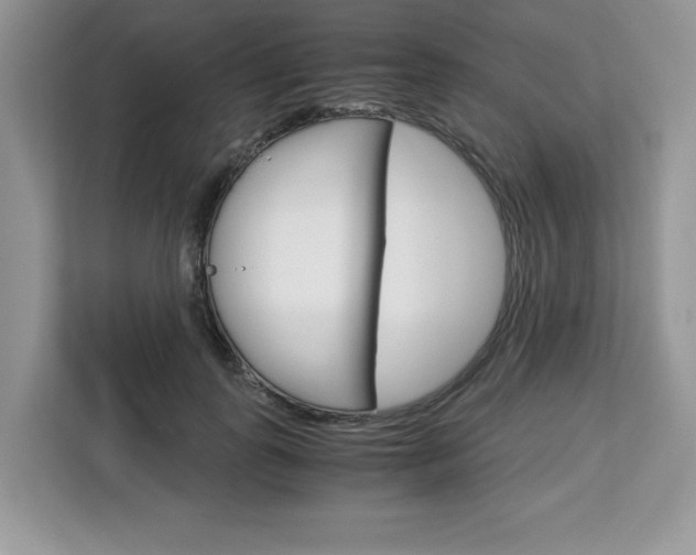 X0000113090747200908281007