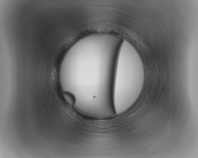 X0000113090748200908281007