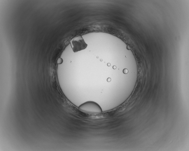 X0000113090749200908281007