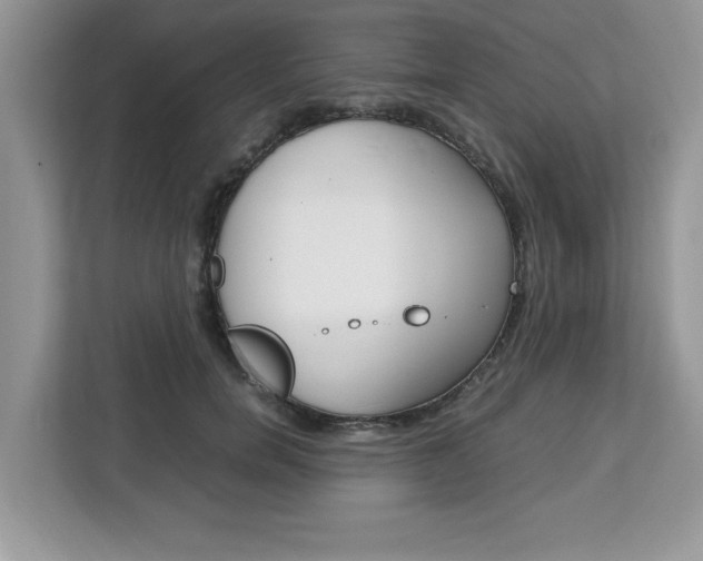 X0000113090750200908281007