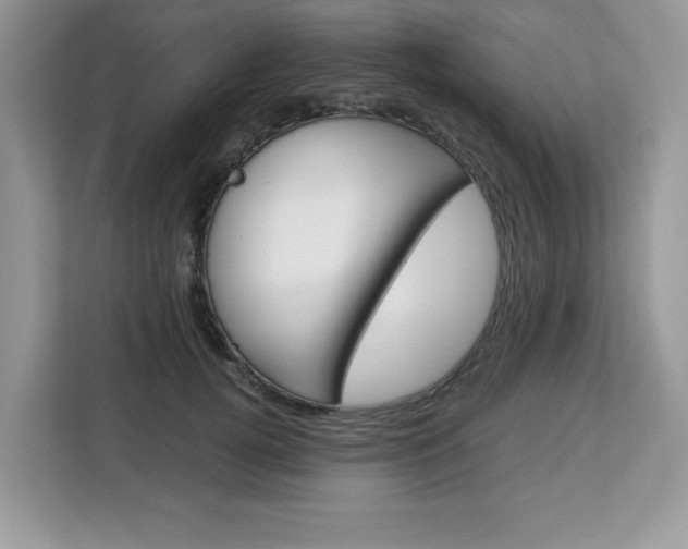X0000113090752200908281007