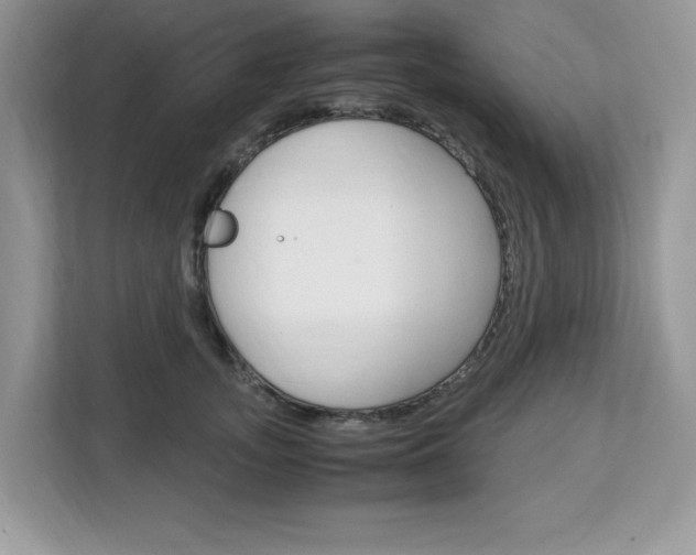 X0000113090755200908281007