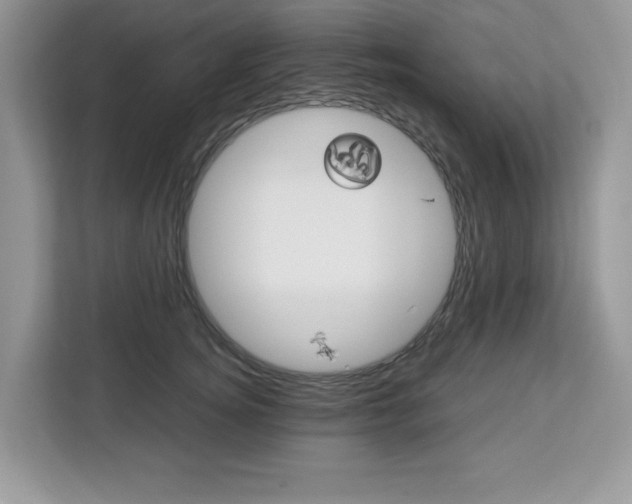X0000113090756200908281007