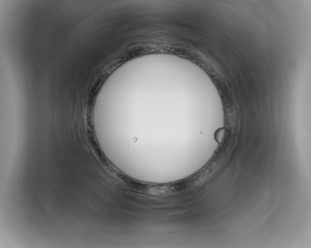 X0000113090757200908281007