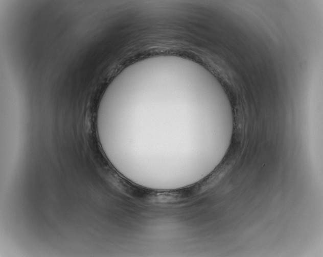 X0000113090758200908281007
