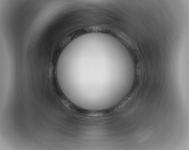 X0000113090760200908281007