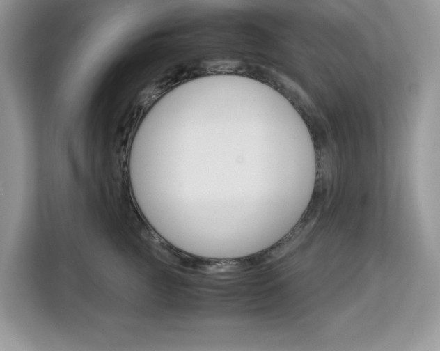 X0000113090761200908281007