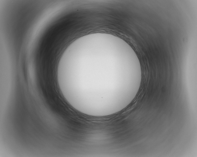 X0000113090762200908281007