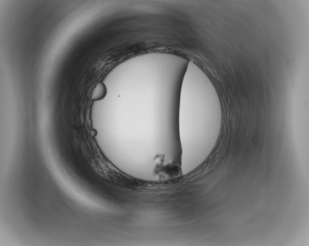 X0000113090763200908281007