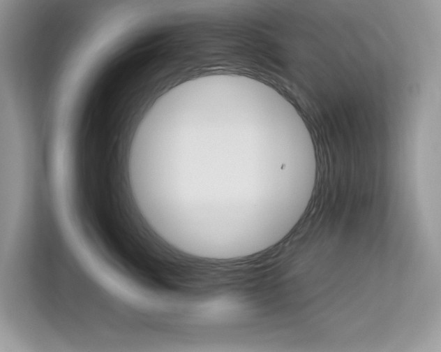 X0000113090764200908281007