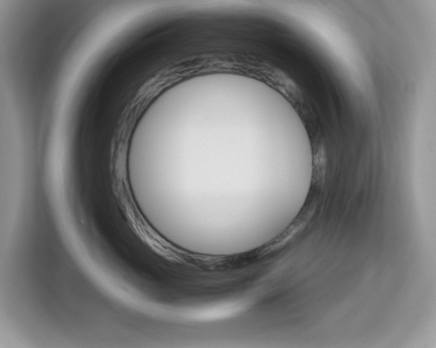 X0000113090765200908281007