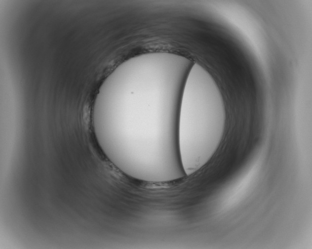 X0000113090767200908281007