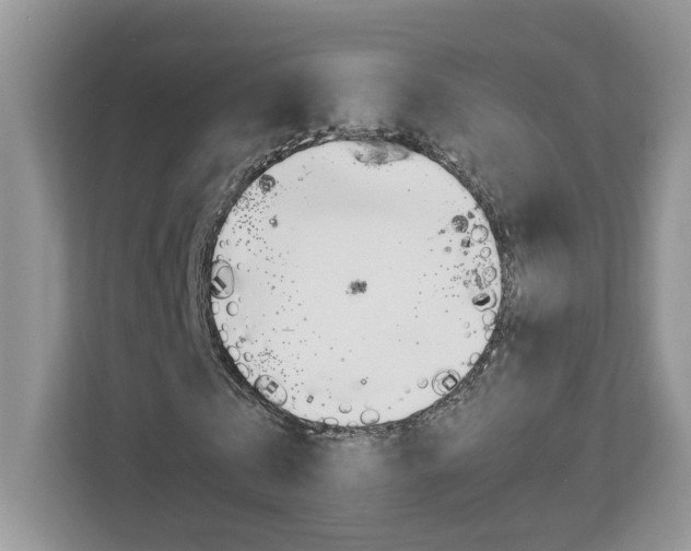 X0000113090769200908281006