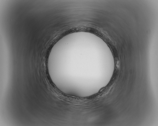 X0000113090771200908281006