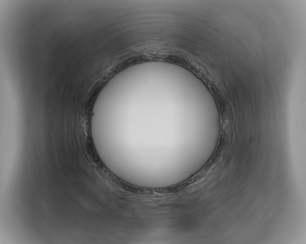 X0000113090772200908281006