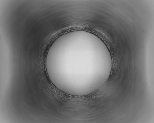 X0000113090773200908281006
