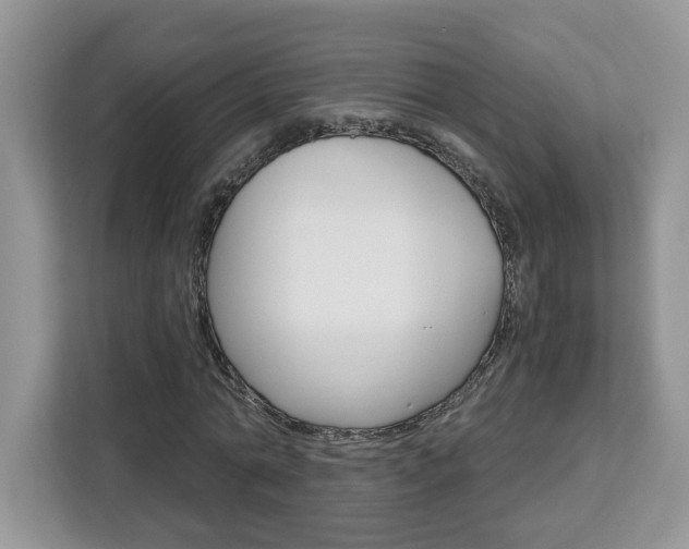 X0000113090774200908281006