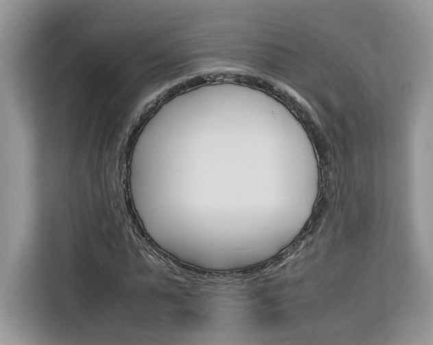 X0000113090775200908281006