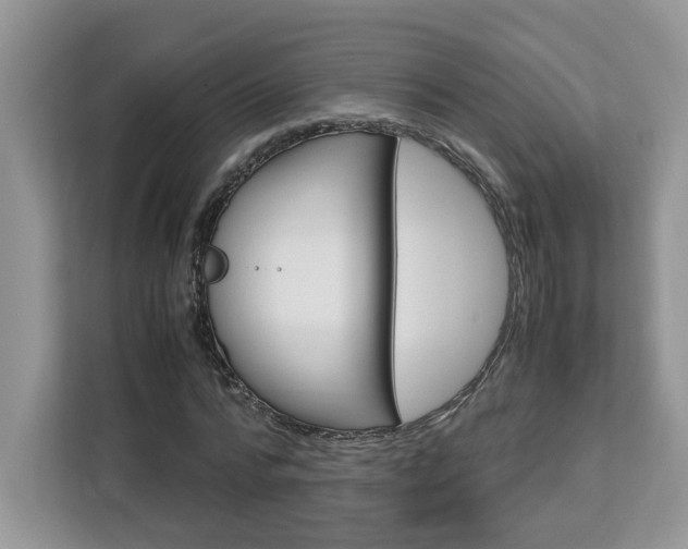 X0000113090776200908281006