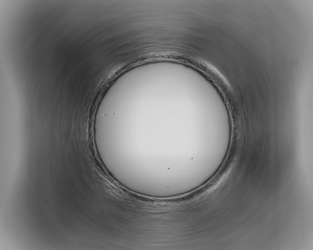 X0000113090777200908281006