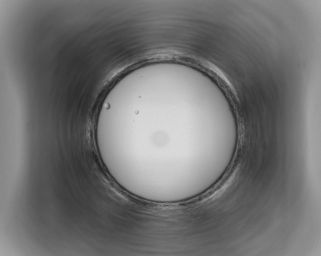 X0000113090778200908281006